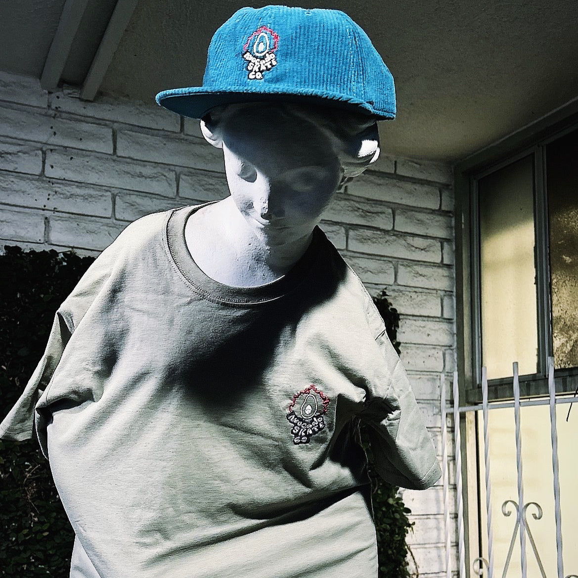 Organic Cotton T-Shirt