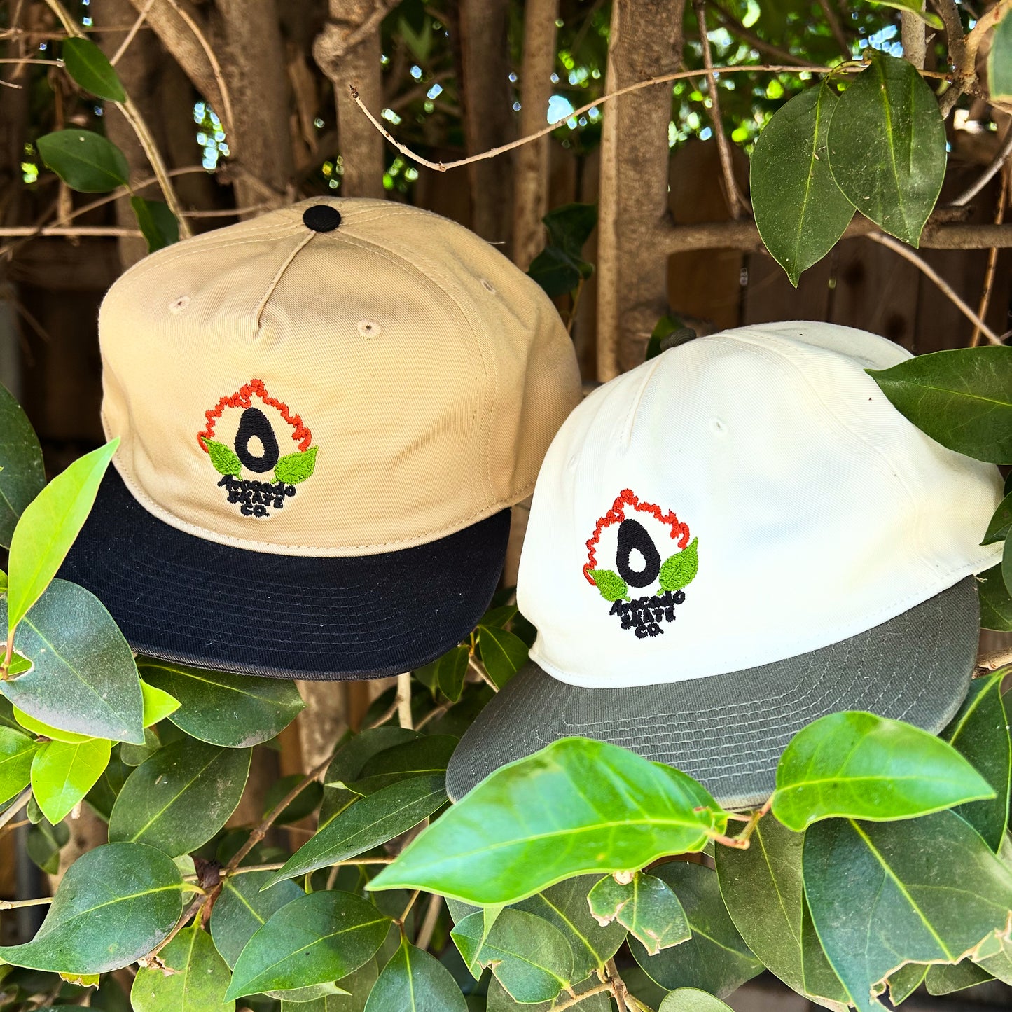 2-Tone Cotton Cap